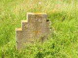 image of grave number 265060